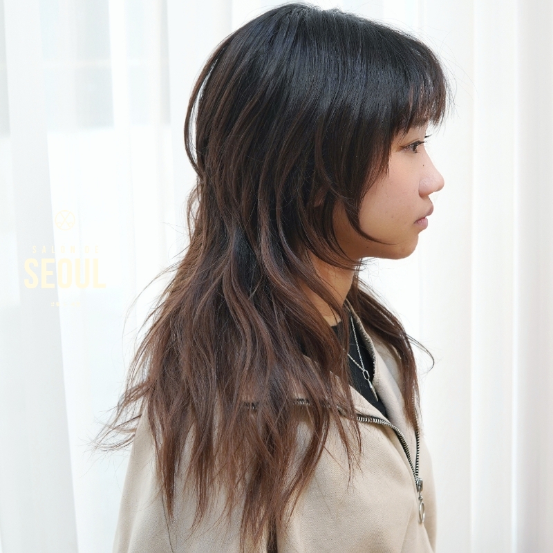 Korean Wolf cut Hushcut